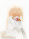 Cattle egret watercolor image