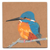 Common kingfisher acrylic painting