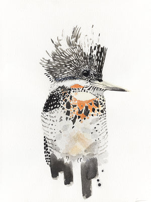 Crested kingfisher watercolor painting