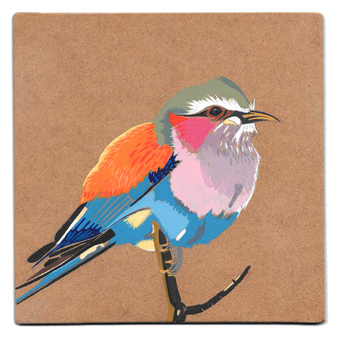 Lilac breasted roller acrylic painting