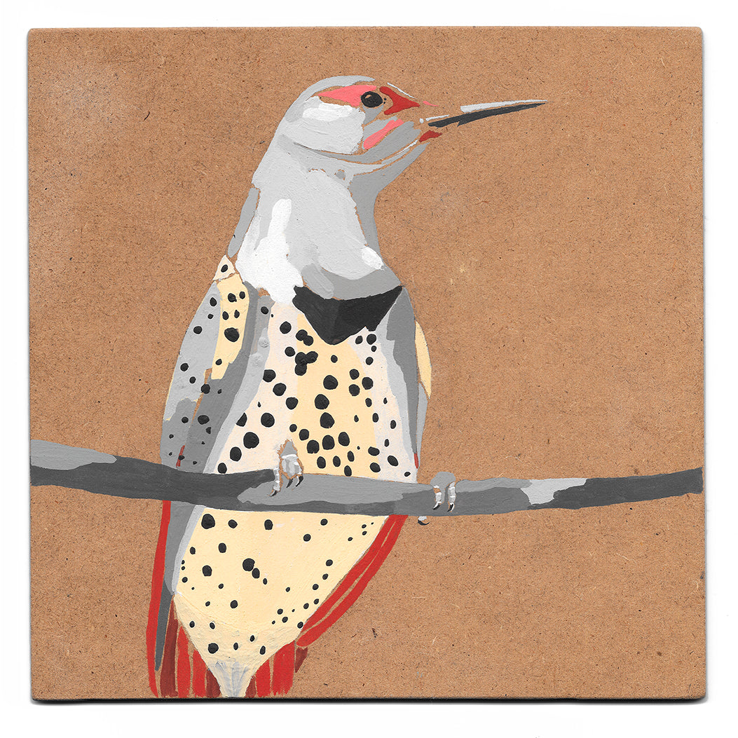 Norther flicker acrylic painting